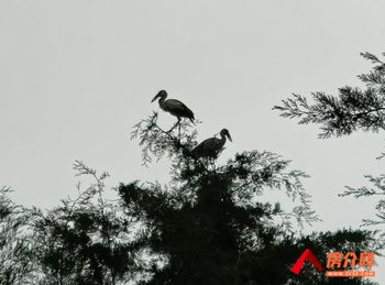 盘龙白沙河10000m²商铺出租,参考报价:面议 盘龙白沙河10000m²商铺出租,参考报价:面议