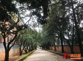 「昆明」盘龙茨坝70000m²厂房出租,参考报价:面议 「昆明」盘龙茨坝70000m²厂房出租,参考报价:面议