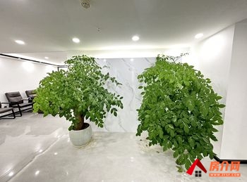 「昆明」观云海(办公) >150m²写字楼出租,参考报 「昆明」观云海(办公) >150m²写字楼出租,参考报