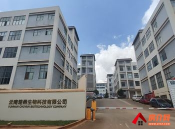 昆明呈贡七甸乡10000m²厂房出租,参考报价:面议