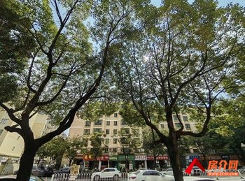 「昆明」盘龙北辰财富中心62m²商铺出租,参考报价:5500 「昆明」盘龙北辰财富中心62m²商铺出租,参考报价:5500